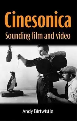 Cinesonica. Sounding Film And Video