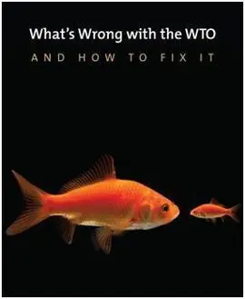 What's Wrong With The Wto And How To Fix It