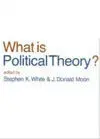 What Is Political Theory?