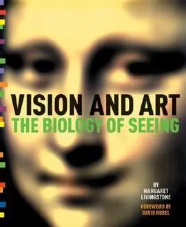 Vision And Art