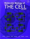 MOLECULAR BIOLOGY OF THE CELL.6ª ED. (SOFTCOVER)
