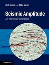 SEISMIC AMPLITUDE