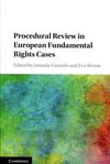PROCEDURAL REVIEW IN EUROPEAN FUNDAMENTAL RIGHTS CASES