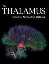 THE THALAMUS