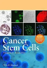 Cancer Stem Cells