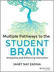 Multiple Pathways To The Student Brain: Energizing And Enhancing Instruction