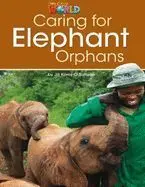 Taking Care Of Elephant Orphans