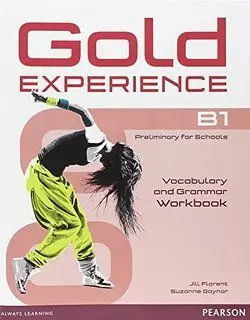Gold Experience Language And Skills Workbook B1