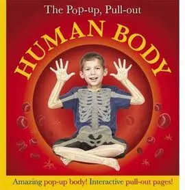 Human Body Pop Up Pull Out