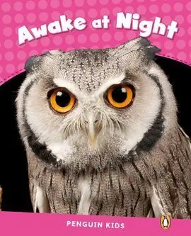 Awake At Night