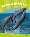 ANIMAL ATHLETES