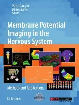 Membrane Potential Imaging In The Nervous System: Methods And Applications