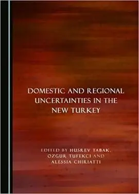 Domestic And Regional Uncertainties In The New Turkey