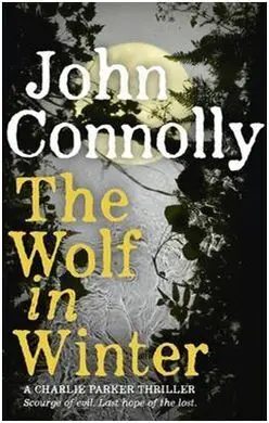 The Wolf In Winter