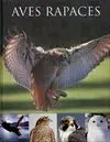 Aves Rapaces