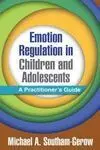 Emotion Regulation In Children And Adolescents. A Practitioner's Guide