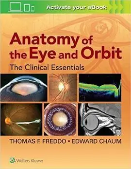 Anatomy Of The Eye And Orbit: The Clinical Essentials