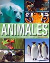 ANIMALES. DESCUBRE LA FASCINANTE DIVERSIDAD DE LA NATURALEZA