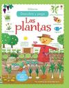 DESCUBRO Y PEGO. LAS PLANTAS