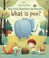WHAT IS POO?