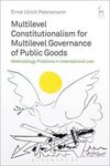 MULTILEVEL CONSTITUTIONALISM FOR MULTILEVEL GOVERNANCE OF PUBLIC GOODS.