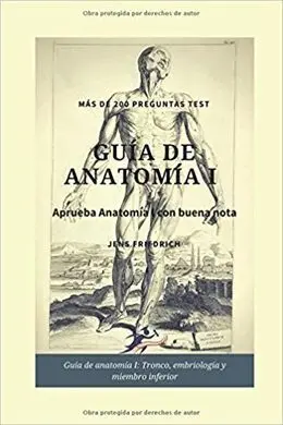 Guía de Anatomía I: Tronco, Embriología y Miembro Inferior
