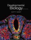 DEVELOPMENTAL BIOLOGY