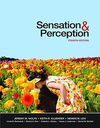 SENSATION AND PERCEPTION