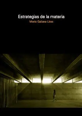 Estrategias de la Materia