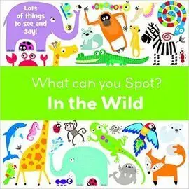 What Can You Spot - In The Wild