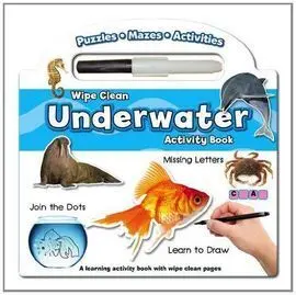 Wipe Clean Numbers Activity Book