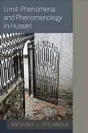 Limit-Phenomena And Phenomenology In Husserl