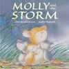 MOLLY AND THE STORM
