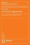 Eu And Investment Agreements. Open Questions And Remainig Challenges