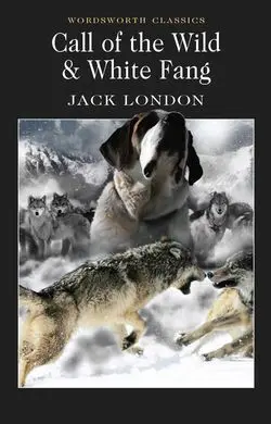 Call Of The Wild White Fang