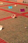 CONTESTATIONS: LEARNING FROM CRITICAL EXPERIMENTS IN EDUCATION