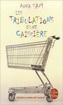 LES TRIBULATIONS D'UNE CAISSIERE