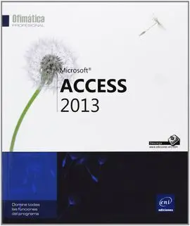 Microsoft Access 2013