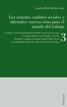 LOS ACTUALES CAMBIOS SOCIALES Y LABORALES: NUEVOS RETOS PARA EL MUNDO DEL TRABAJO. VOL. 3: