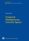 TEMPERED HOMOGENEOUS FUNCTION SPACE