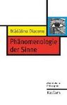 PHÄNOMENOLOGIE DER SINNE