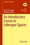 AN INTRODUCTORY COURSE IN LEBESGUE SPACES