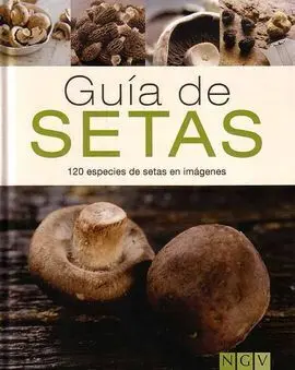 Guía de Setas