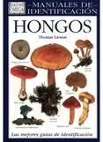 Hongos