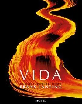 Vida