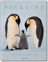PINGÜINO