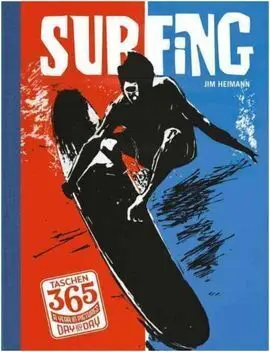 Day By Day Surfing