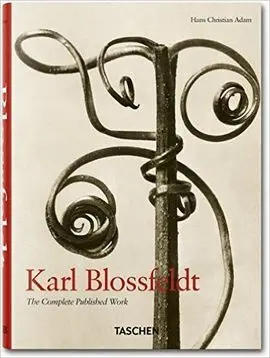 Karl Blossfeldt