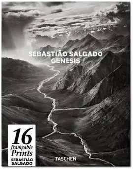 Genesis Salgado. Poster Box