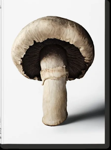 The Gourmand's Mushroom S